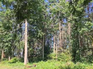 Picture of Point Roberts Parcel Number 415334-043196